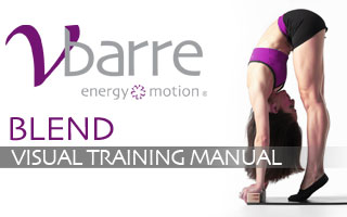 Vbarre&reg; BLEND Visual Training